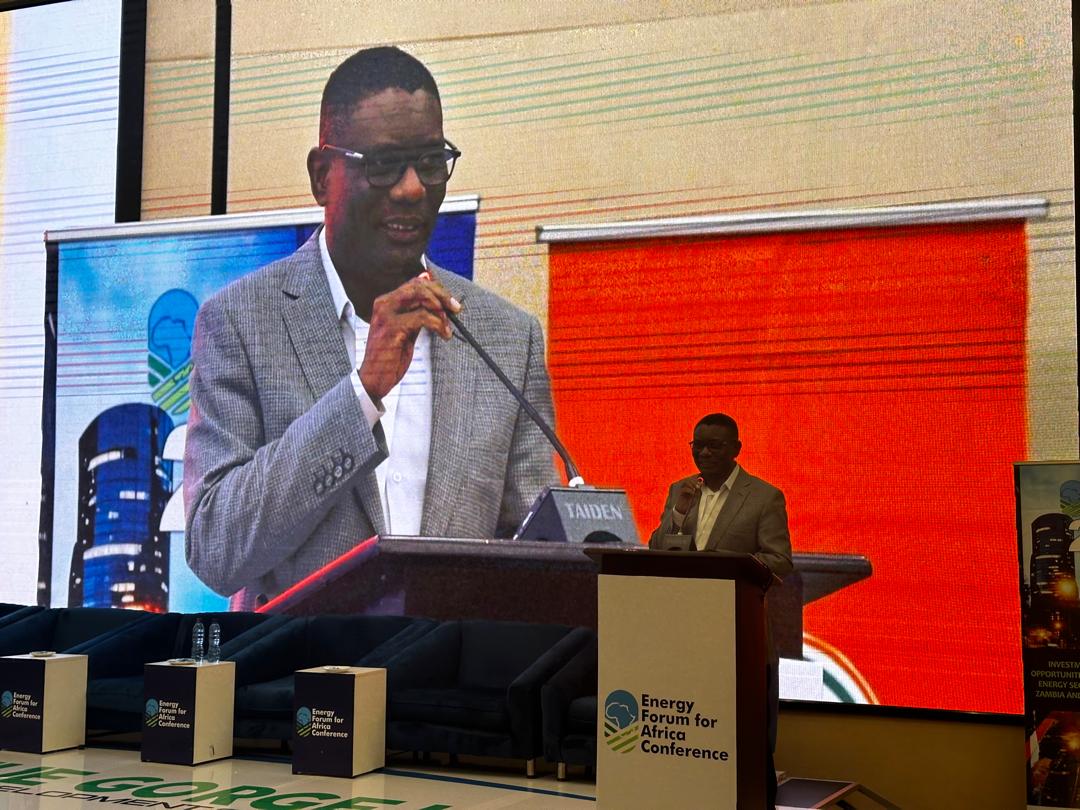 Zambia Determined to Build a Stronger Grid for a Diverse Energy Mix